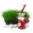 Hand wheatgrass juicer